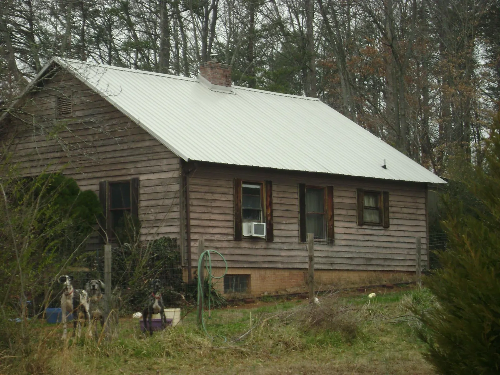 White metal roof on an old wood sided farmhouse, from a Asphalt Shingle Roof Repair job in Spring